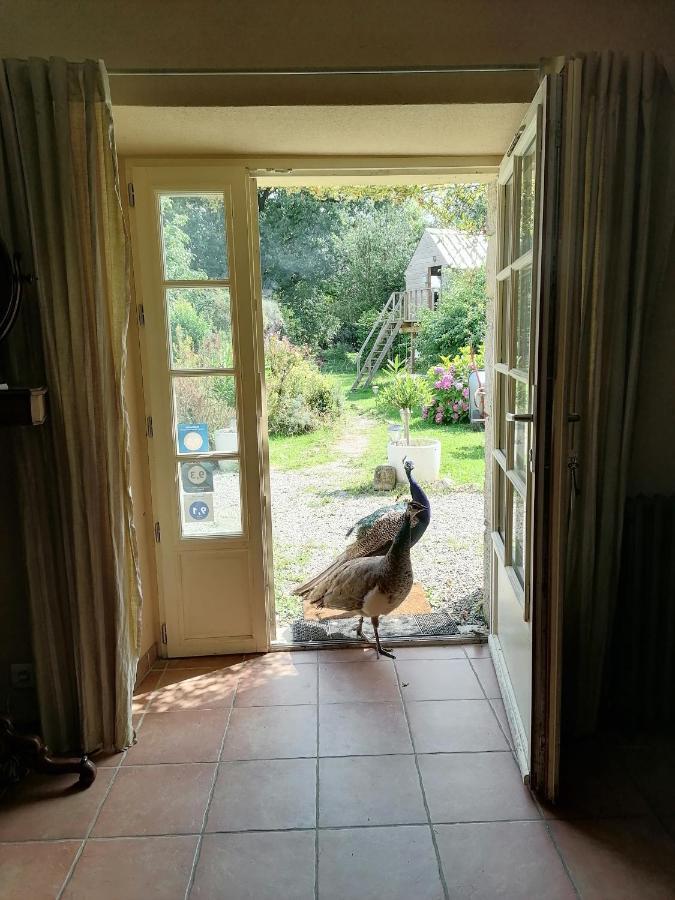 Frairie Du Divit Bed and Breakfast Pontivy Exteriör bild