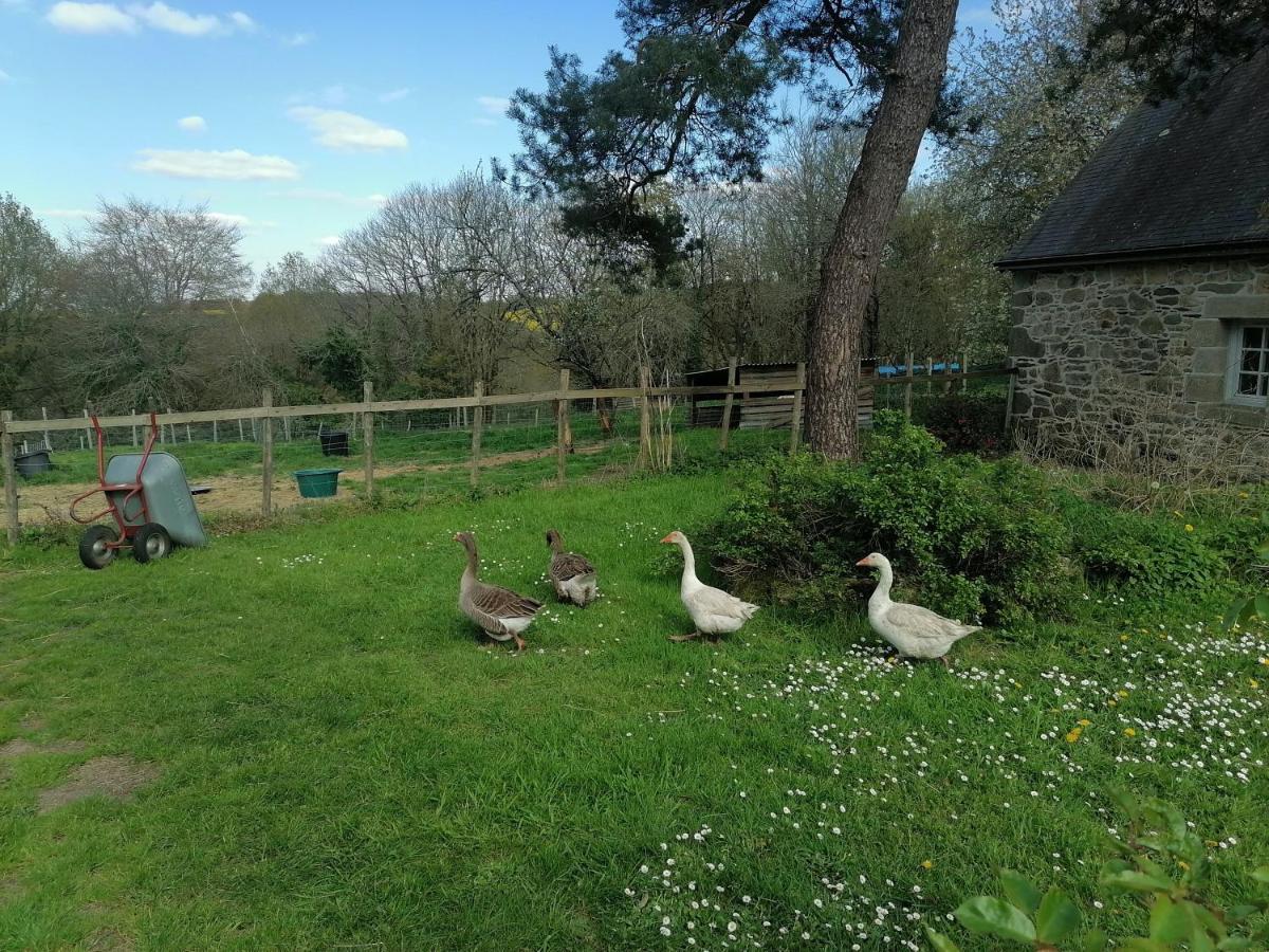 Frairie Du Divit Bed and Breakfast Pontivy Exteriör bild