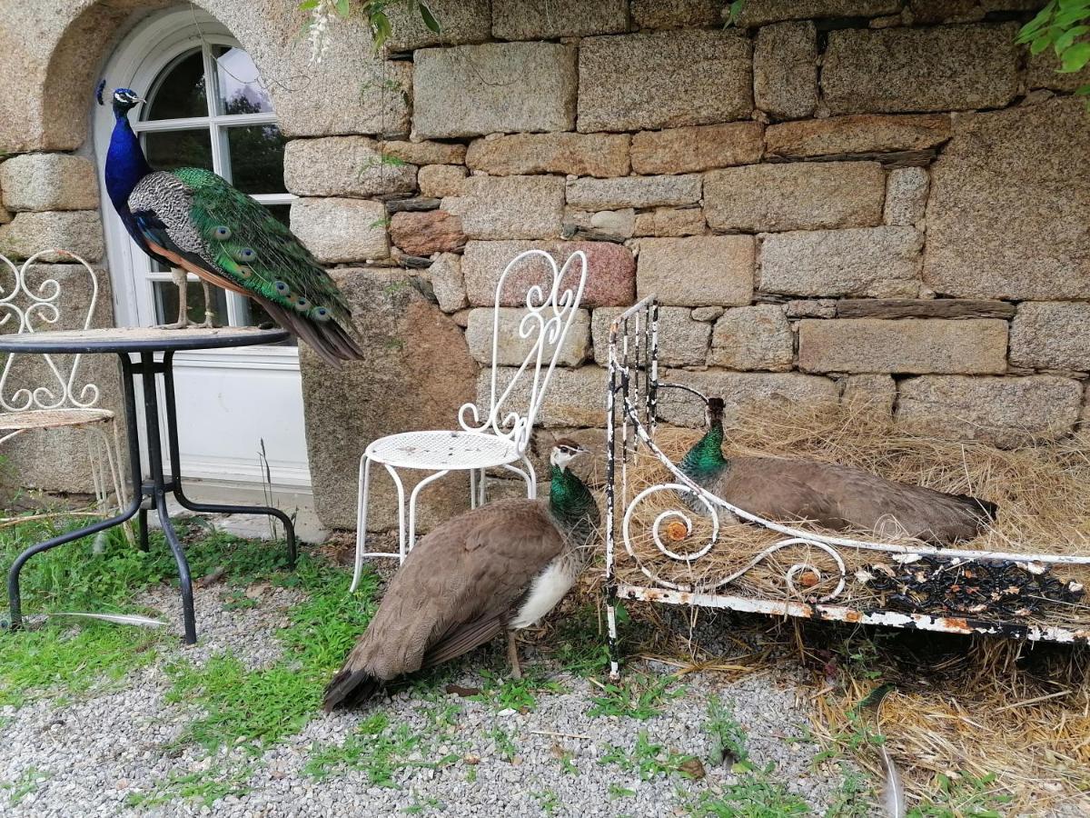 Frairie Du Divit Bed and Breakfast Pontivy Exteriör bild